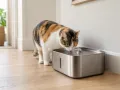 oneisall 3,5L Cordless Fountain im Direktvergleich