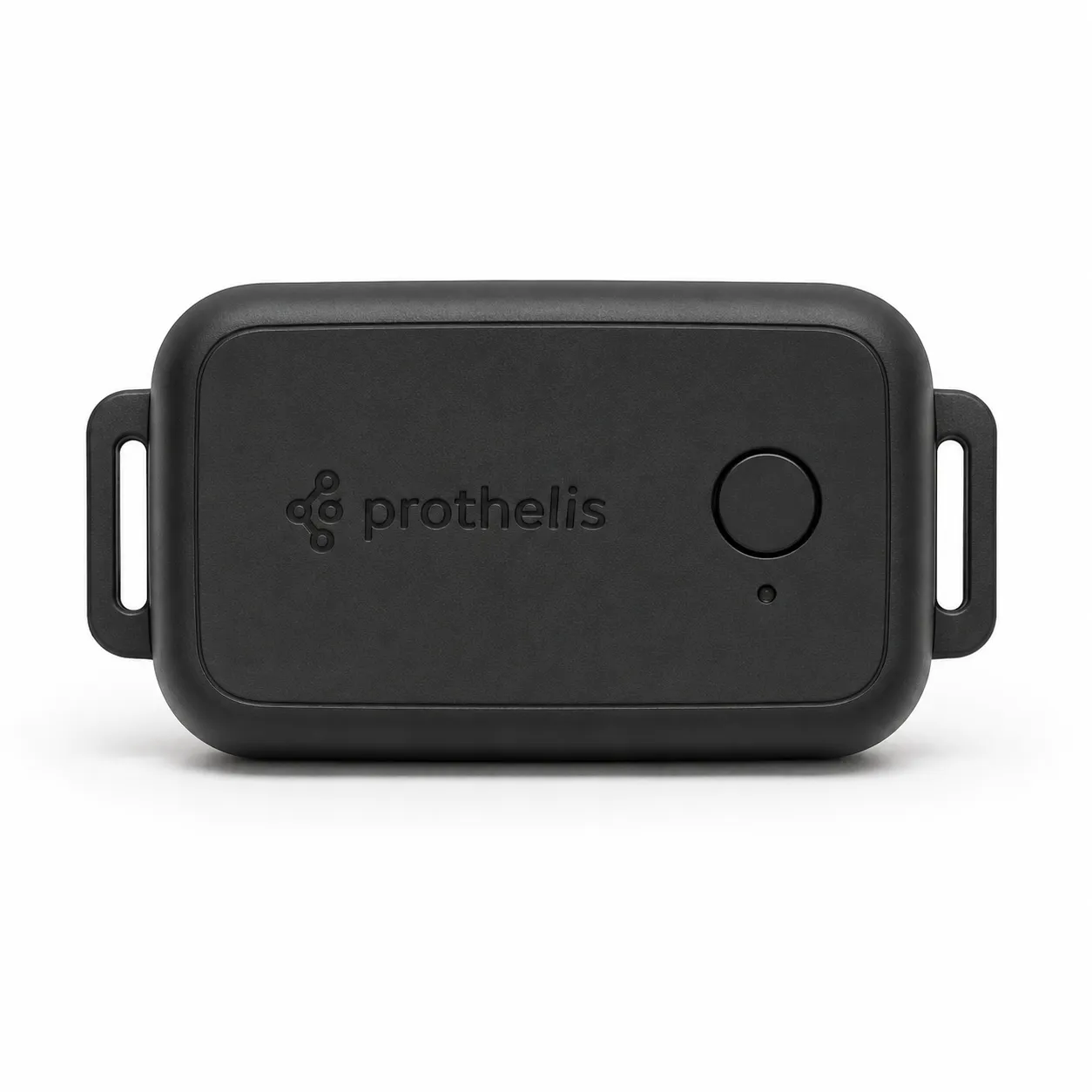 Prothelis area Pets, Produktansicht 1