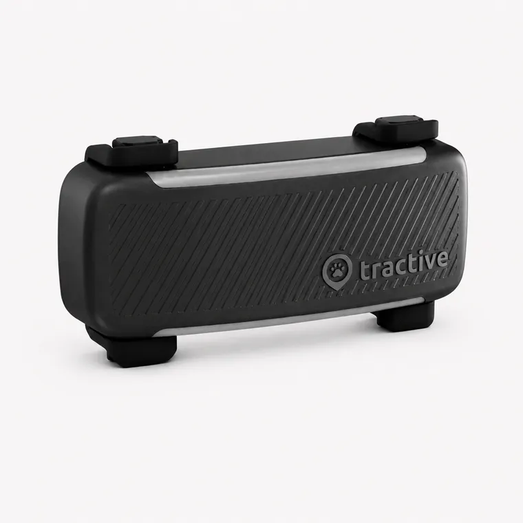 Tractive DOG 6 – Outdoor-Aufnahme