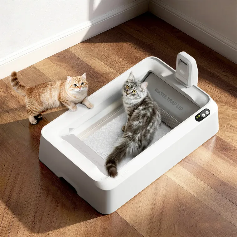 PETKIT PUROBOT CRYSTAL DUO mit niedrigem offenem Einstieg neben Katzen