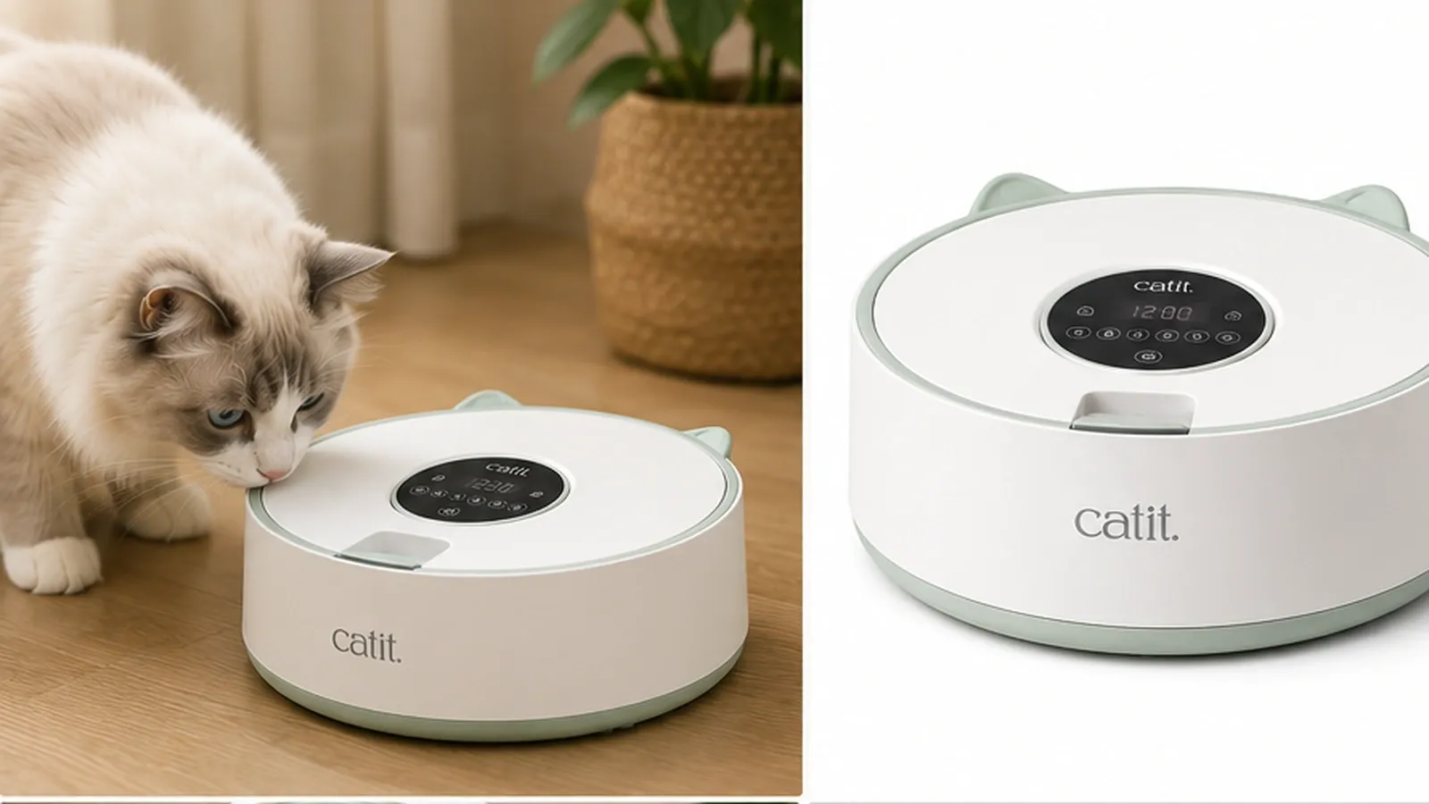 Catit PIXI Smart 6-Meal Feeder mit rundem Sechs-Fächer-Einsatz