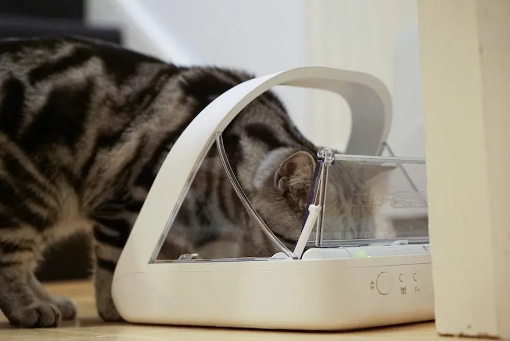 Chip-Erkennungsbogen des SureFeed Microchip Pet Feeder