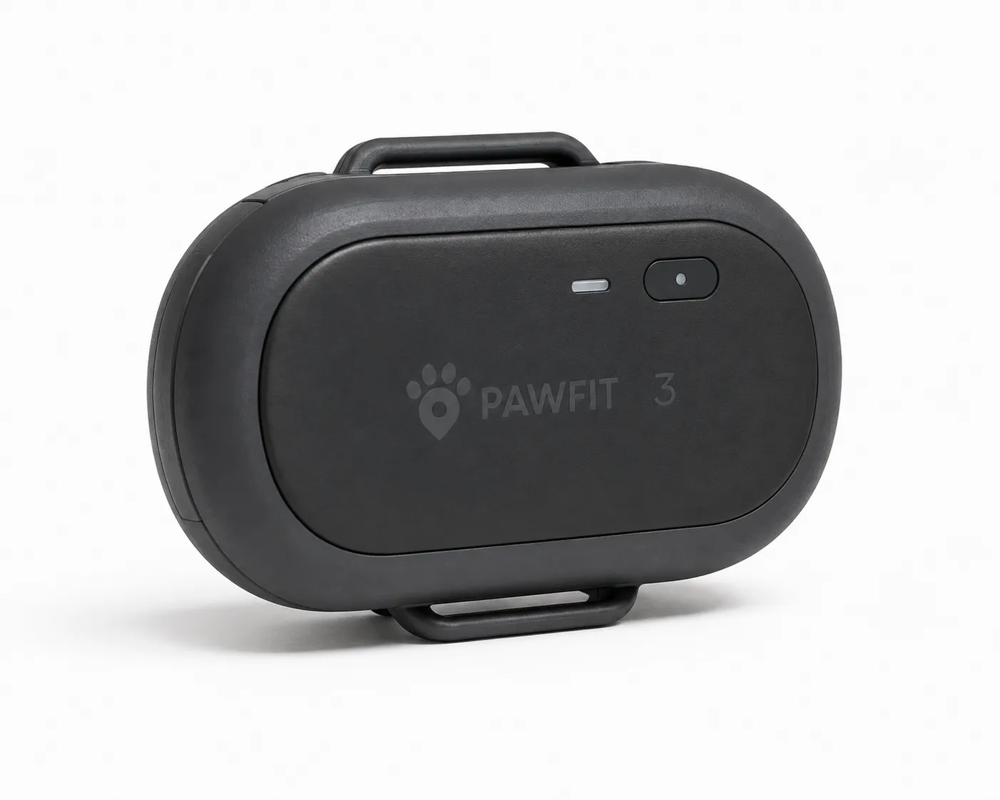 Pawfit 3 in redaktioneller Produktdarstellung