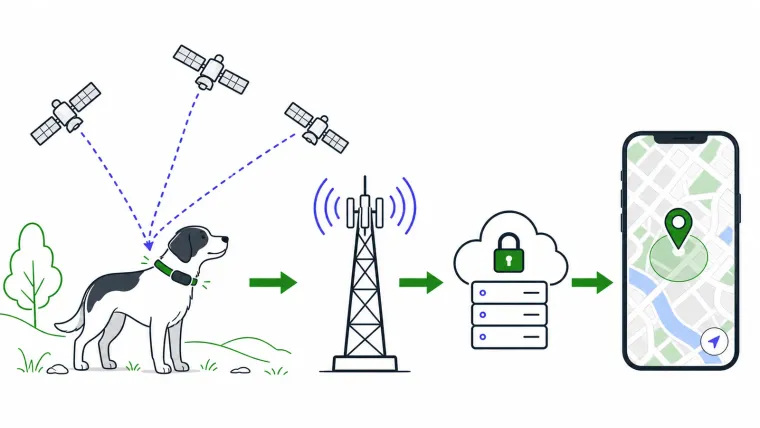Redaktionelle Darstellung eines Multi-Netz-GPS-Trackers