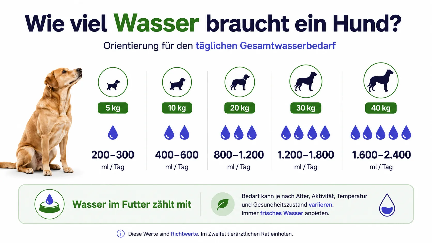 Orientierung zum täglichen Gesamtwasserbedarf eines Hundes nach Körpergewicht